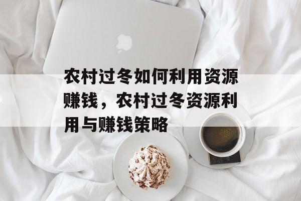 农村过冬如何利用资源赚钱,农村过冬资源利用与赚钱策略 农村过冬如何利用资源赚钱,农村过冬资源利用与赚钱策略