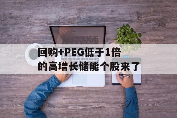回购+PEG低于1倍的高增长储能个股来了 回购+PEG低于1倍的高增长储能个股来了