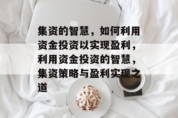 集资的智慧,如何利用资金投资以实现盈利,利用资金投资的智慧,集资策略与盈利实现之道 集资的智慧,如何利用资金投资以实现盈利,利用资金投资的智慧,集资策略与盈利实现之道