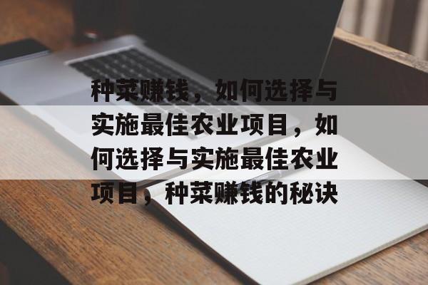 种菜赚钱,如何选择与实施最佳农业项目,如何选择与实施最佳农业项目,种菜赚钱的秘诀 种菜赚钱,如何选择与实施最佳农业项目,如何选择与实施最佳农业项目,种菜赚钱的秘诀