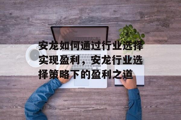 安龙如何通过行业选择实现盈利,安龙行业选择策略下的盈利之道 安龙如何通过行业选择实现盈利,安龙行业选择策略下的盈利之道