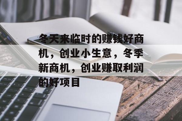 冬天来临时的赚钱好商机,创业小生意,冬季新商机,创业赚取利润的好项目 冬天来临时的赚钱好商机,创业小生意,冬季新商机,创业赚取利润的好项目