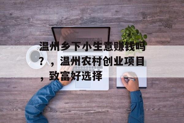 温州乡下小生意赚钱吗?,温州农村创业项目,致富好选择 温州乡下小生意赚钱吗?,温州农村创业项目,致富好选择