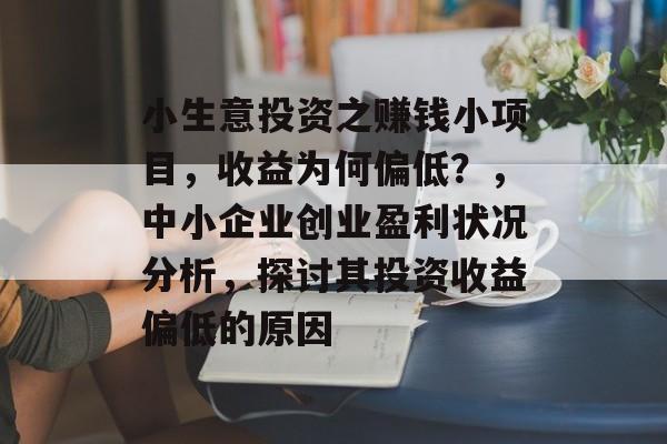 小生意投资之赚钱小项目,收益为何偏低?,中小企业创业盈利状况分析,探讨其投资收益偏低的原因 小生意投资之赚钱小项目,收益为何偏低?,中小企业创业盈利状况分析,探讨其投资收益偏低的原因