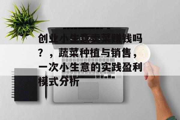 创业小生意卖菜赚钱吗?,蔬菜种植与销售,一次小生意的实践盈利模式分析 创业小生意卖菜赚钱吗?,蔬菜种植与销售,一次小生意的实践盈利模式分析