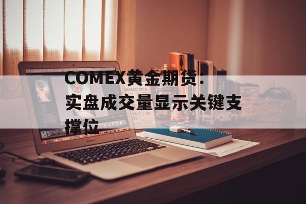 COMEX黄金期货:实盘成交量显示关键支撑位 COMEX黄金期货:实盘成交量显示关键支撑位