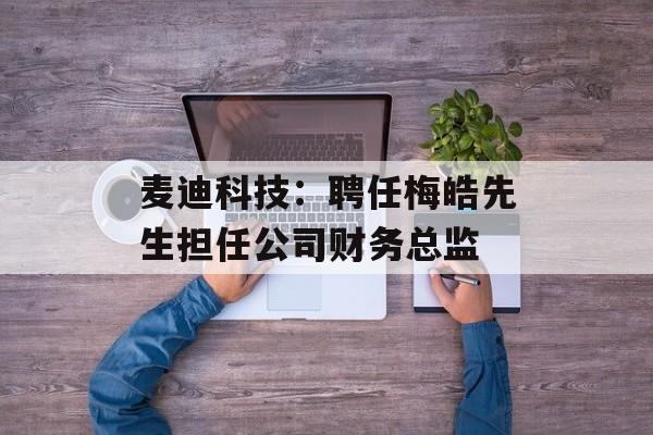 麦迪科技:聘任梅皓先生担任公司财务总监 麦迪科技:聘任梅皓先生担任公司财务总监