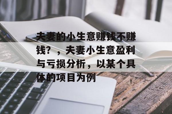 夫妻的小生意赚钱不赚钱？，夫妻小生意盈利与亏损分析，以某个具体的项目为例