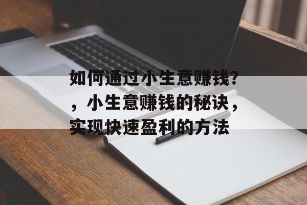 如何通过小生意赚钱？，小生意赚钱的秘诀，实现快速盈利的方法