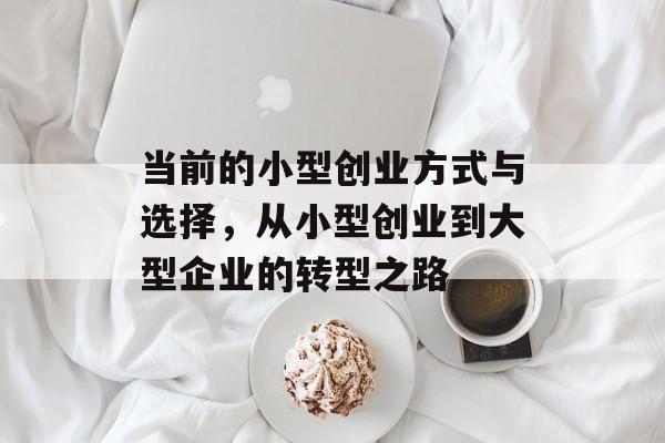 当前的小型创业方式与选择,从小型创业到大型企业的转型之路 当前的小型创业方式与选择,从小型创业到大型企业的转型之路