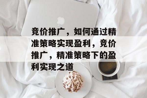 竞价推广,如何通过精准策略实现盈利,竞价推广,精准策略下的盈利实现之道 竞价推广,如何通过精准策略实现盈利,竞价推广,精准策略下的盈利实现之道
