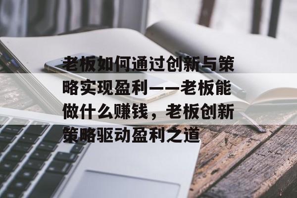 老板如何通过创新与策略实现盈利——老板能做什么赚钱，老板创新策略驱动盈利之道