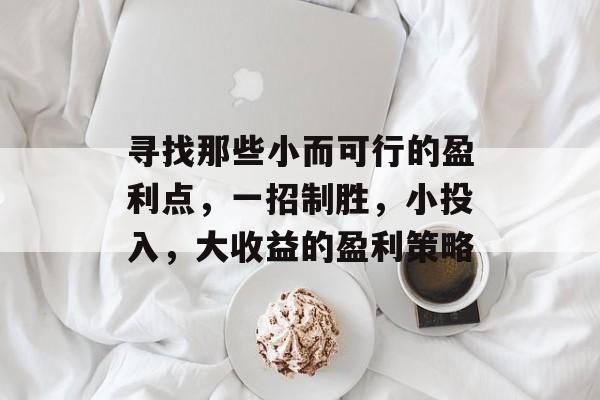 寻找那些小而可行的盈利点,一招制胜,小投入,大收益的盈利策略 寻找那些小而可行的盈利点,一招制胜,小投入,大收益的盈利策略