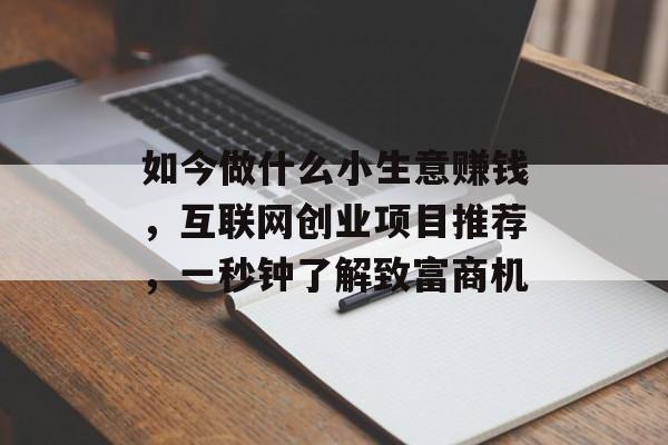 如今做什么小生意赚钱,互联网创业项目推荐,一秒钟了解致富商机 如今做什么小生意赚钱,互联网创业项目推荐,一秒钟了解致富商机