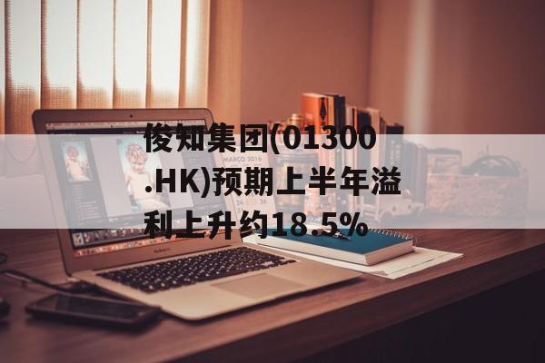 俊知集团(01300.HK)预期上半年溢利上升约18.5%