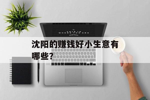 沈阳的赚钱好小生意有哪些？