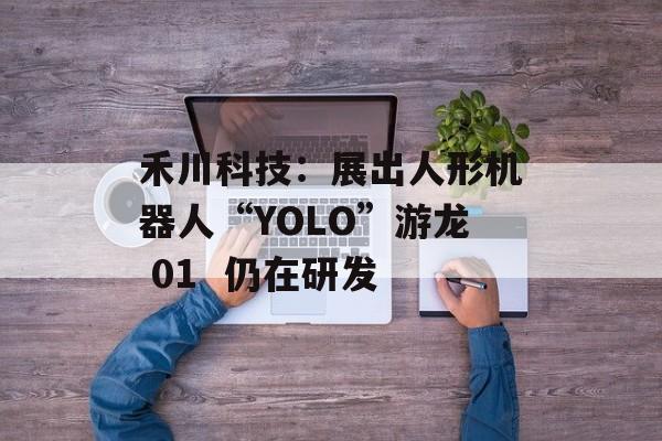 禾川科技:展出人形机器人“YOLO”游龙 01  仍在研发 禾川科技:展出人形机器人“YOLO”游龙 01  仍在研发