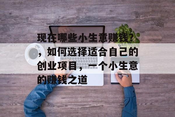 现在哪些小生意赚钱？，如何选择适合自己的创业项目，一个小生意的赚钱之道