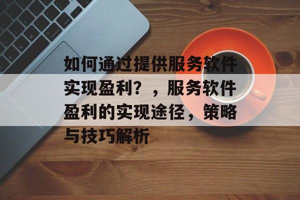 如何通过提供服务软件实现盈利?,服务软件盈利的实现途径,策略与技巧解析 如何通过提供服务软件实现盈利?,服务软件盈利的实现途径,策略与技巧解析