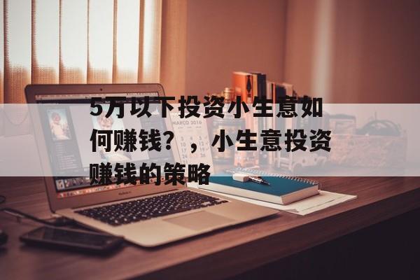 5万以下投资小生意如何赚钱?,小生意投资赚钱的策略 5万以下投资小生意如何赚钱?,小生意投资赚钱的策略