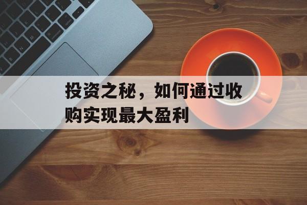投资之秘，如何通过收购实现最大盈利