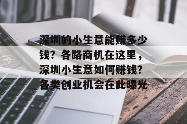 深圳的小生意能赚多少钱?各路商机在这里,深圳小生意如何赚钱?各类创业机会在此曝光 深圳的小生意能赚多少钱?各路商机在这里,深圳小生意如何赚钱?各类创业机会在此曝光