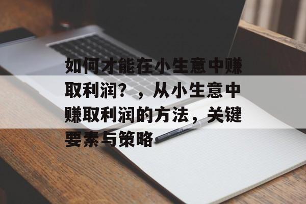 如何才能在小生意中赚取利润?,从小生意中赚取利润的方法,关键要素与策略 如何才能在小生意中赚取利润?,从小生意中赚取利润的方法,关键要素与策略