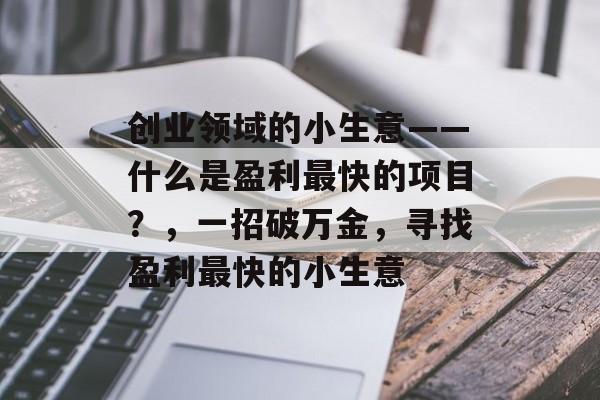 创业领域的小生意——什么是盈利最快的项目?,一招破万金,寻找盈利最快的小生意 创业领域的小生意——什么是盈利最快的项目?,一招破万金,寻找盈利最快的小生意