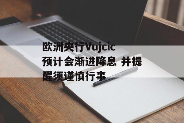 欧洲央行Vujcic预计会渐进降息 并提醒须谨慎行事