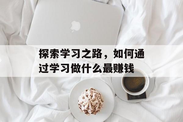 探索学习之路，如何通过学习做什么最赚钱