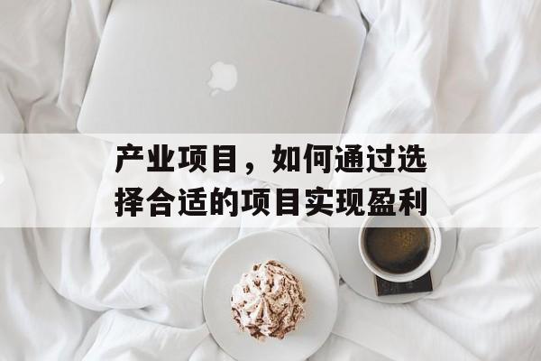 产业项目,如何通过选择合适的项目实现盈利 产业项目,如何通过选择合适的项目实现盈利