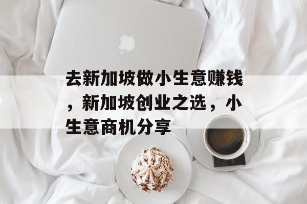 去新加坡做小生意赚钱,新加坡创业之选,小生意商机分享 去新加坡做小生意赚钱,新加坡创业之选,小生意商机分享