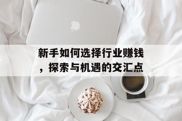 新手如何选择行业赚钱,探索与机遇的交汇点 新手如何选择行业赚钱,探索与机遇的交汇点