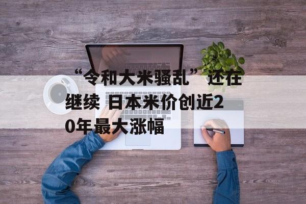 “令和大米骚乱”还在继续 日本米价创近20年最大涨幅 “令和大米骚乱”还在继续 日本米价创近20年最大涨幅