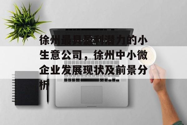 徐州最具盈利潜力的小生意公司,徐州中小微企业发展现状及前景分析 徐州最具盈利潜力的小生意公司,徐州中小微企业发展现状及前景分析