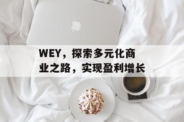 WEY,探索多元化商业之路,实现盈利增长 WEY,探索多元化商业之路,实现盈利增长