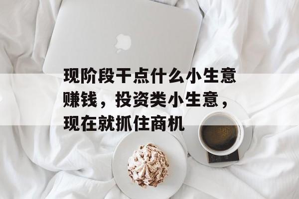 现阶段干点什么小生意赚钱,投资类小生意,现在就抓住商机 现阶段干点什么小生意赚钱,投资类小生意,现在就抓住商机