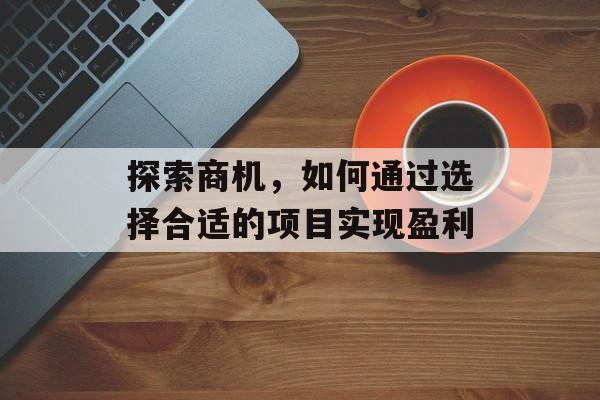 探索商机,如何通过选择合适的项目实现盈利 探索商机,如何通过选择合适的项目实现盈利