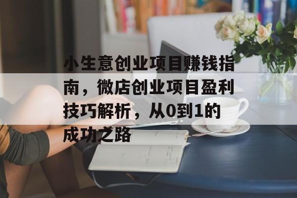 小生意创业项目赚钱指南，微店创业项目盈利技巧解析，从0到1的成功之路