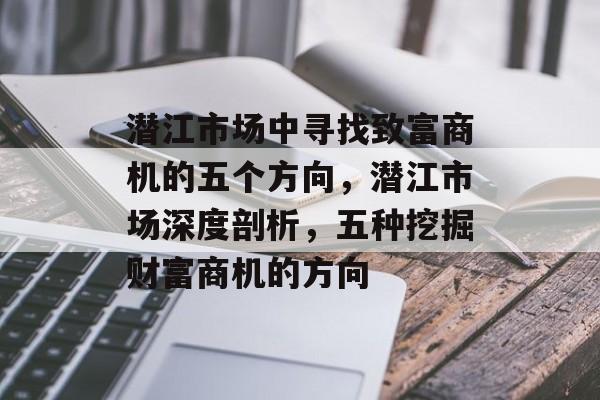 潜江市场中寻找致富商机的五个方向,潜江市场深度剖析,五种挖掘财富商机的方向 潜江市场中寻找致富商机的五个方向,潜江市场深度剖析,五种挖掘财富商机的方向