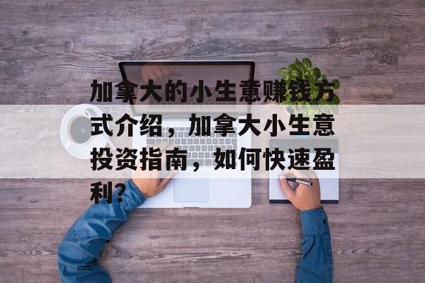 加拿大的小生意赚钱方式介绍,加拿大小生意投资指南,如何快速盈利? 加拿大的小生意赚钱方式介绍,加拿大小生意投资指南,如何快速盈利?