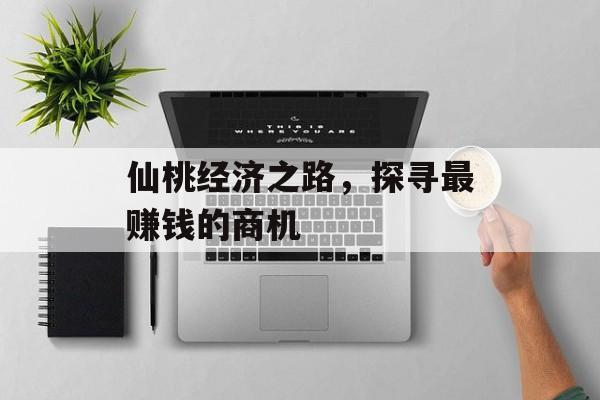 仙桃经济之路,探寻最赚钱的商机 仙桃经济之路,探寻最赚钱的商机