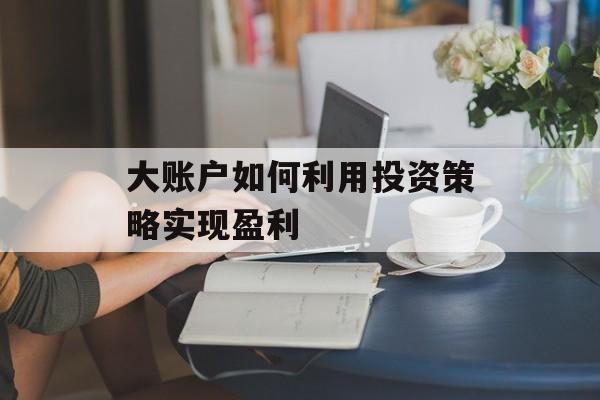 大账户如何利用投资策略实现盈利 大账户如何利用投资策略实现盈利