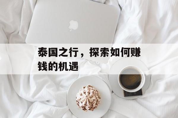 泰国之行,探索如何赚钱的机遇 泰国之行,探索如何赚钱的机遇