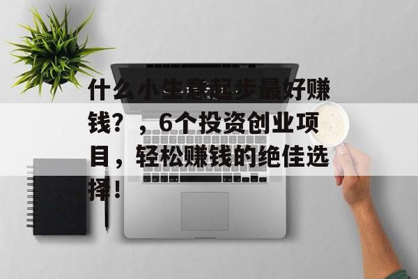 什么小生意起步最好赚钱?,6个投资创业项目,轻松赚钱的绝佳选择! 什么小生意起步最好赚钱?,6个投资创业项目,轻松赚钱的绝佳选择!