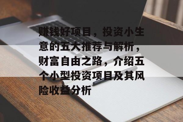 赚钱好项目,投资小生意的五大推荐与解析,财富自由之路,介绍五个小型投资项目及其风险收益分析 赚钱好项目,投资小生意的五大推荐与解析,财富自由之路,介绍五个小型投资项目及其风险收益分析
