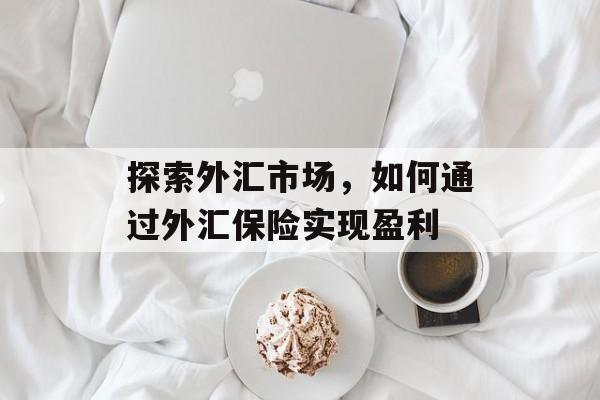 探索外汇市场,如何通过外汇保险实现盈利 探索外汇市场,如何通过外汇保险实现盈利