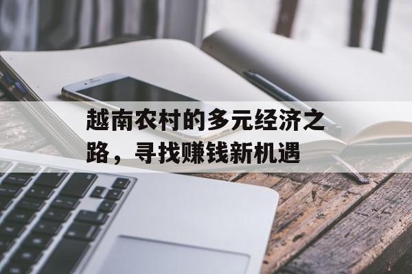 越南农村的多元经济之路，寻找赚钱新机遇