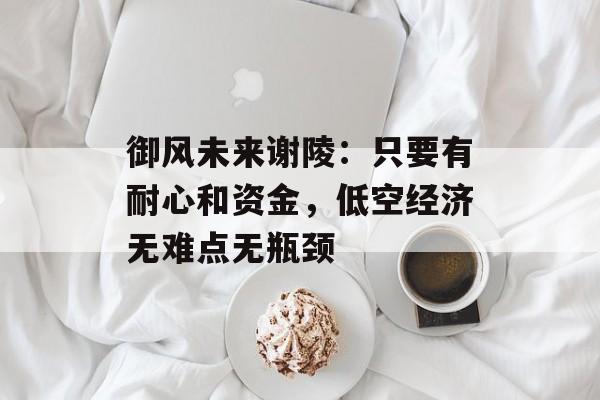 御风未来谢陵:只要有耐心和资金,低空经济无难点无瓶颈 御风未来谢陵:只要有耐心和资金,低空经济无难点无瓶颈