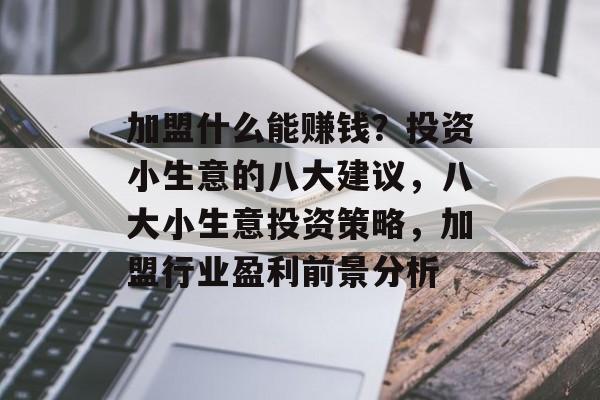 加盟什么能赚钱?投资小生意的八大建议,八大小生意投资策略,加盟行业盈利前景分析 加盟什么能赚钱?投资小生意的八大建议,八大小生意投资策略,加盟行业盈利前景分析